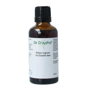 Cruydhof Ribus nigrum & zwarte bes