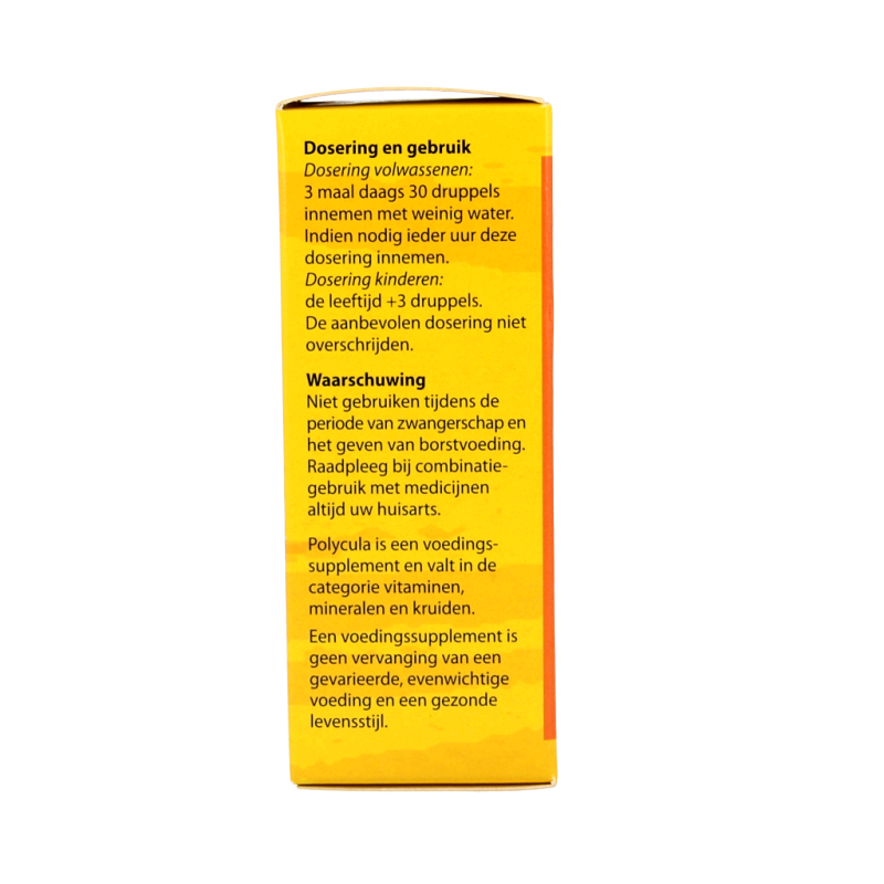 Bloem Polycula - Afbeelding 2