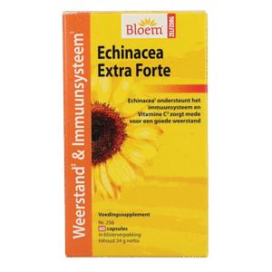 Bloem Echinacea extra