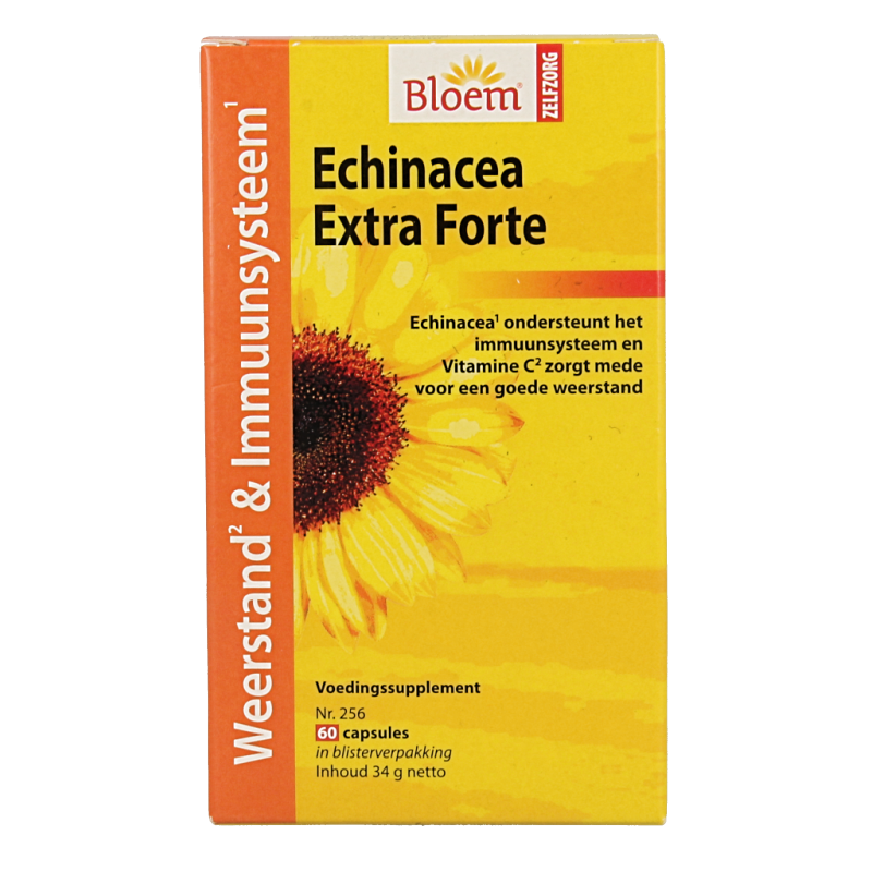 Bloem Echinacea extra