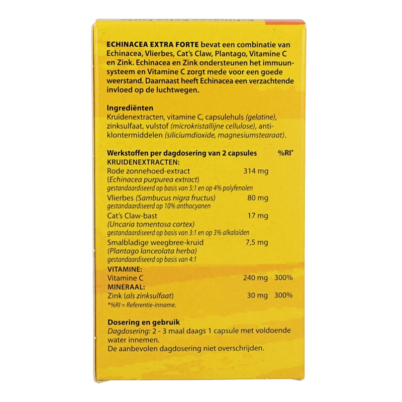 Bloem Echinacea extra - Afbeelding 3