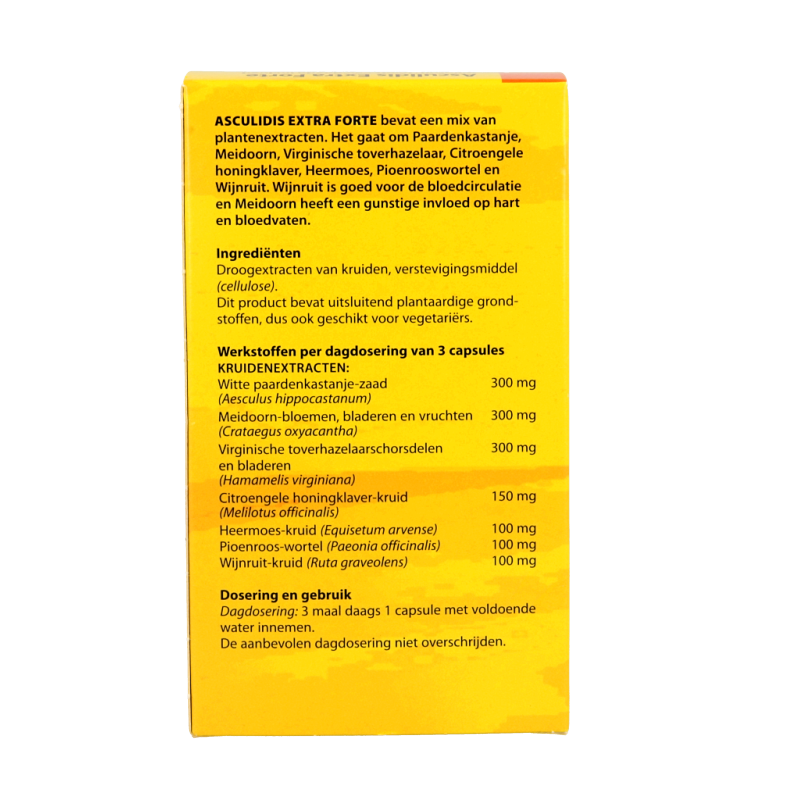 Bloem Asculidis - Afbeelding 3