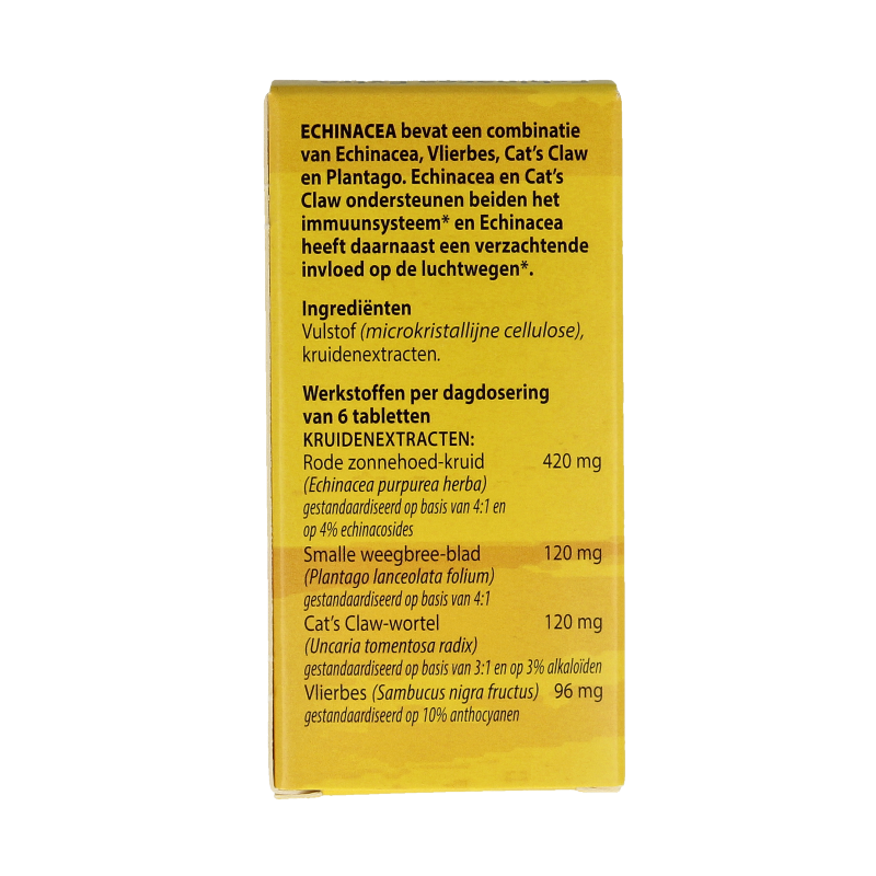 Bloem Echinacea extra - Afbeelding 3