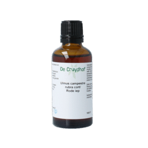Cruydhof Ulmus campestre rubra / rode iep tinctuur