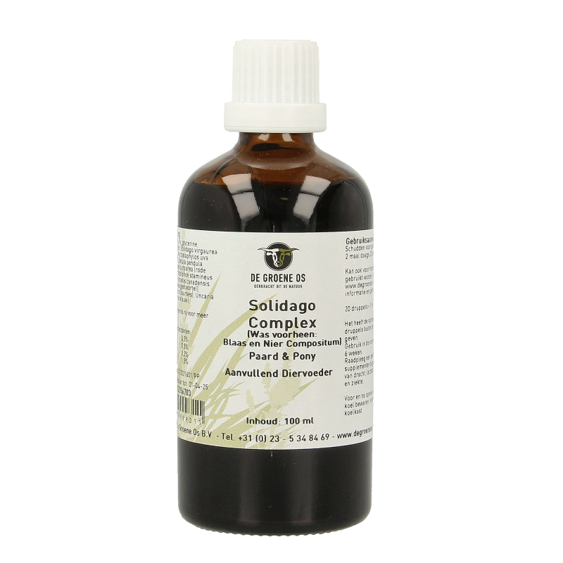 Groene Os Solidago complex paard/pony