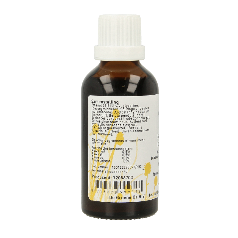 Groene Os Solidago complex hond/kat - Afbeelding 2