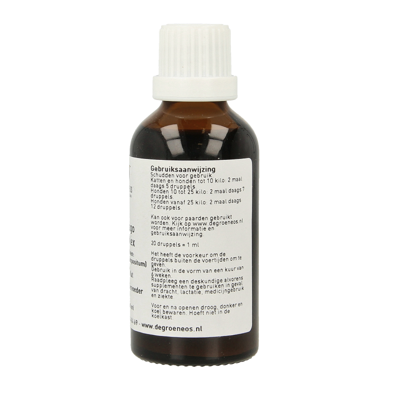 Groene Os Solidago complex hond/kat - Afbeelding 3