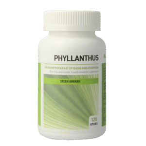 Ayurveda Health Phyllanthus niruri