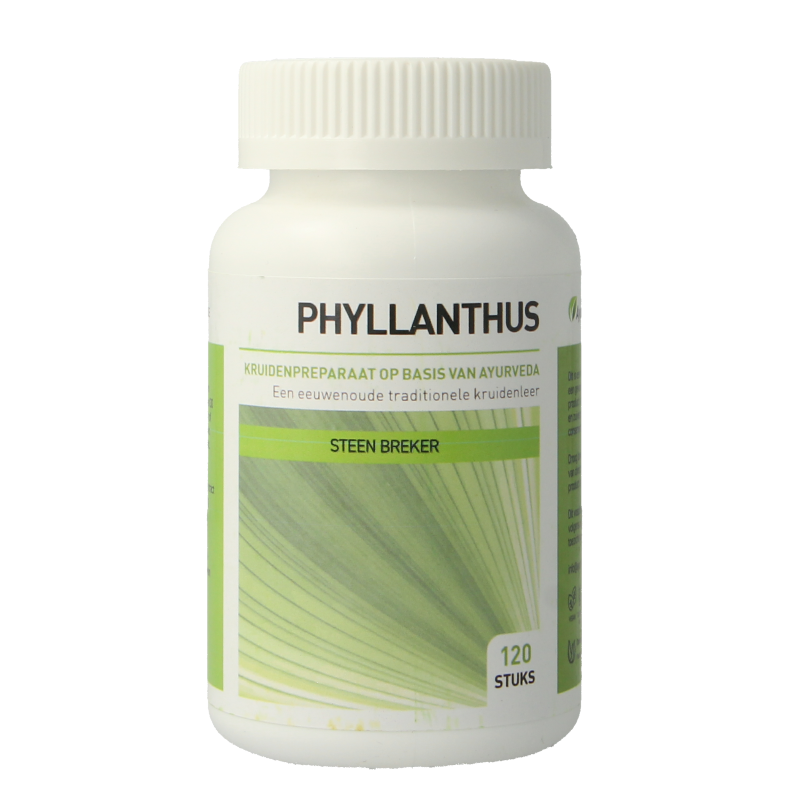 Ayurveda Health Phyllanthus niruri