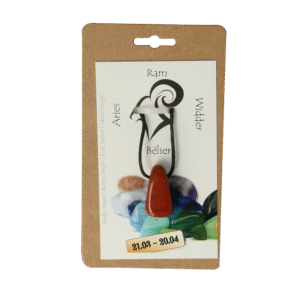 Steengoed Sterrenbeeldsteen hanger ram