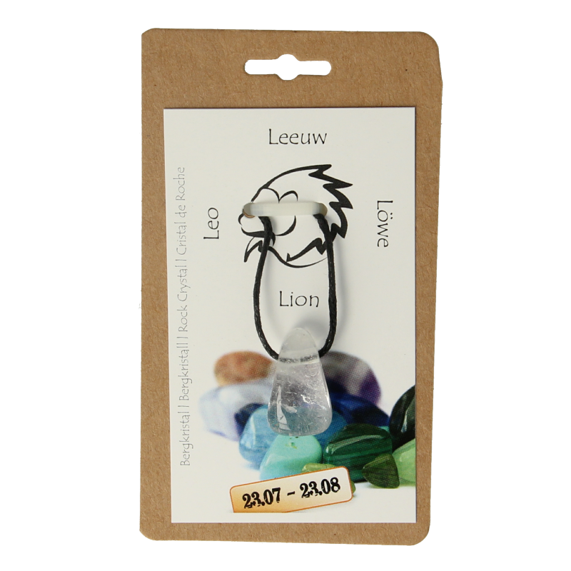 Steengoed Sterrenbeeldsteen hanger leeuw