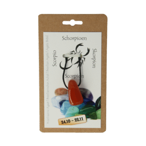 Steengoed Sterrenbeeldhanger schorpioen