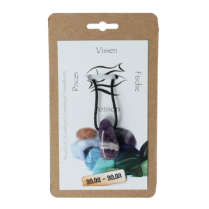 Steengoed Sterrenbeeldsteen hanger vissen