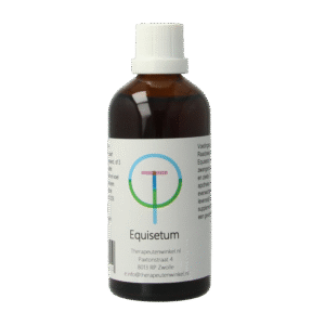 Therapeutenwinkel Equisetum