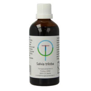 Therapeutenwinkel Salvia triloba