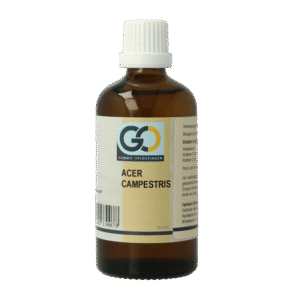 GO Acer campestris bio
