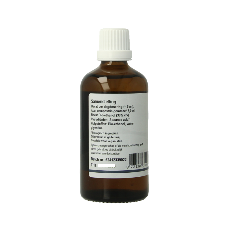 GO Acer campestris bio - Afbeelding 2