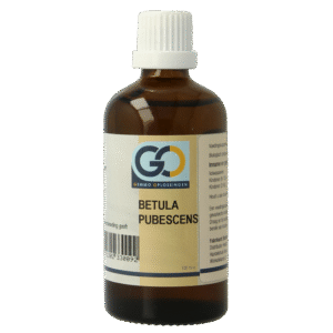 GO Betula pubescens bio