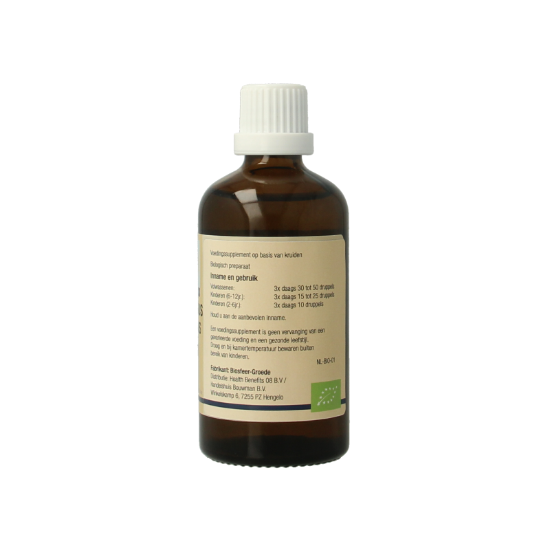 GO Carpinus betulus bio - Afbeelding 3