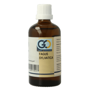 GO Fagus sylvatica bio
