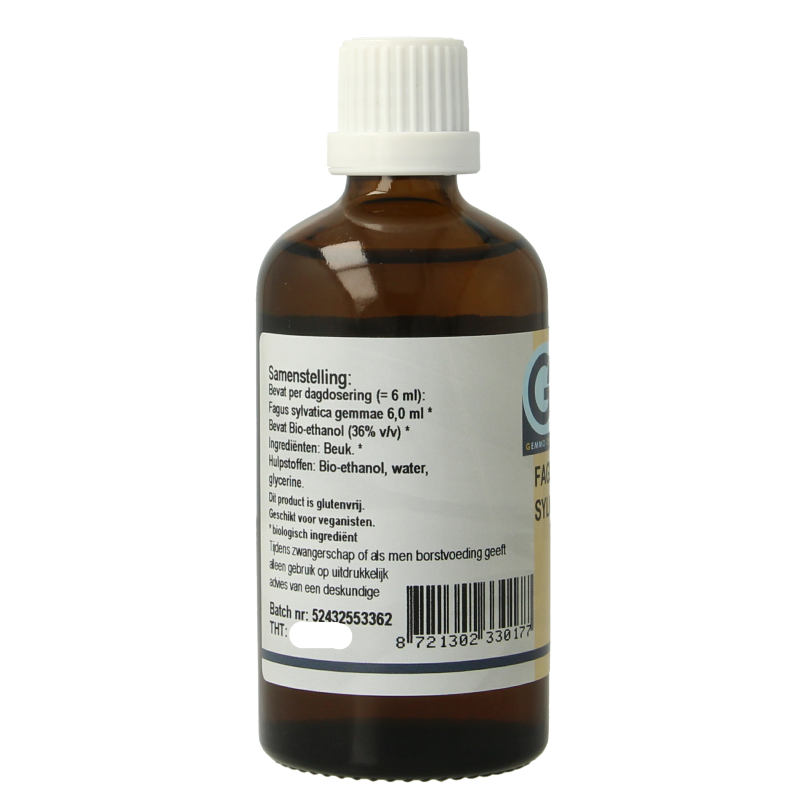 GO Fagus sylvatica bio - Afbeelding 2