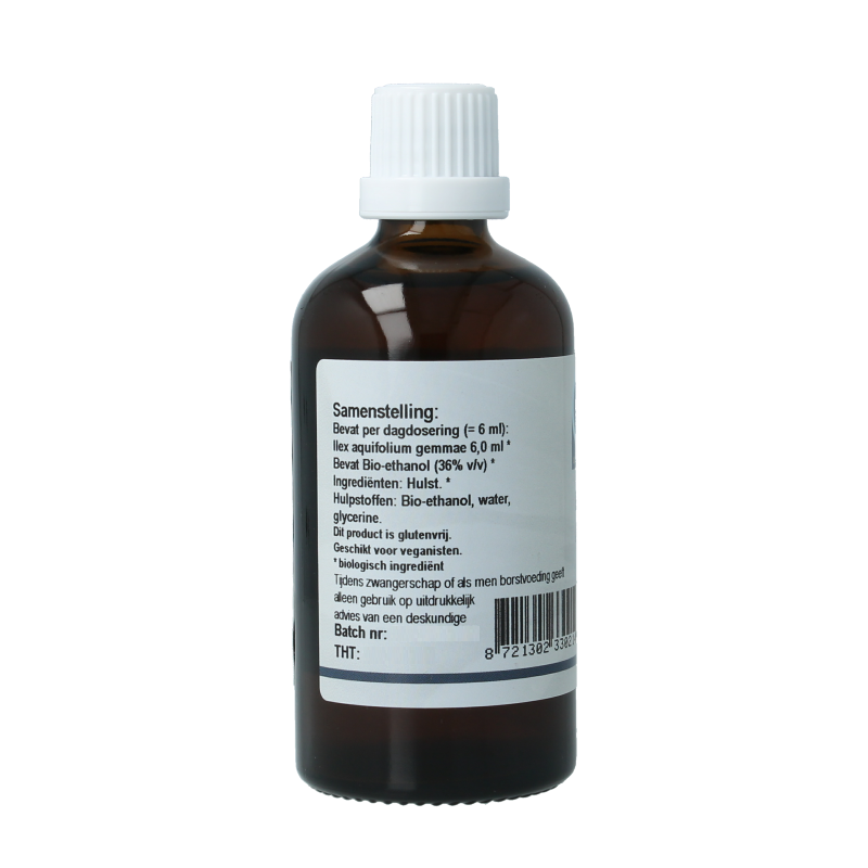 GO Ilex aquifolium bio - Afbeelding 2