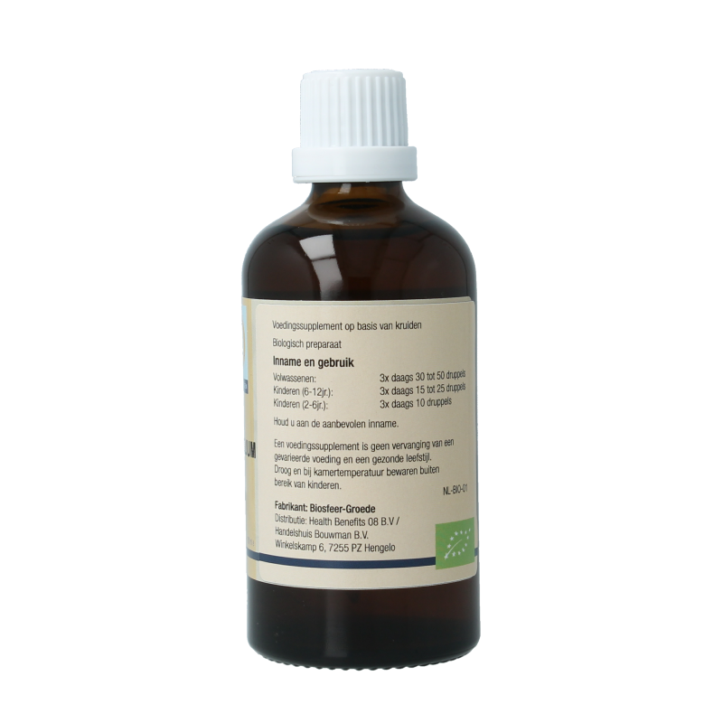 GO Ilex aquifolium bio - Afbeelding 3