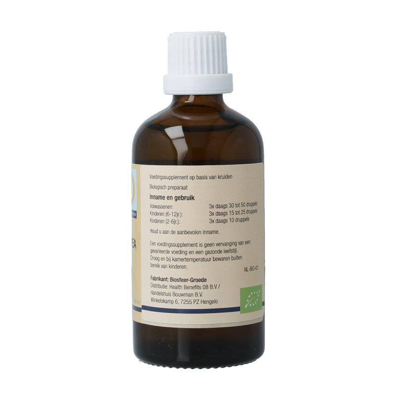 GO Olea Europea bio - Afbeelding 3