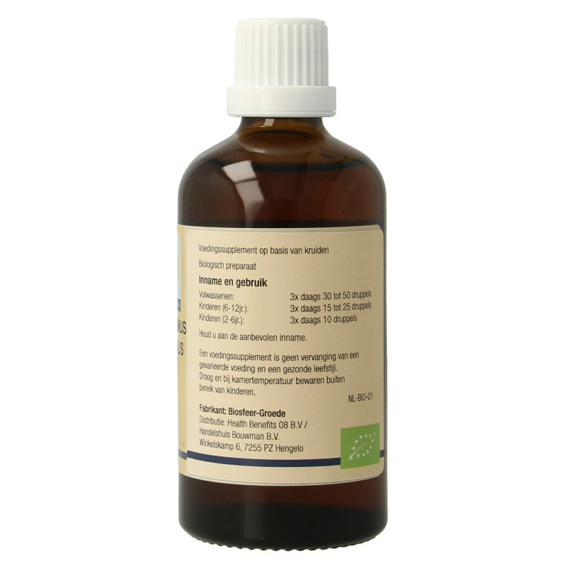 GO Rosmarinus officinalis bio - Afbeelding 3