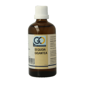 GO Sequoia gigantea bio