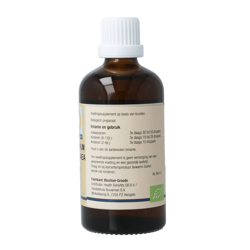 GO Vaccinium vitis idaea bio - Afbeelding 3
