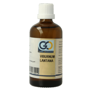 GO Viburnum lantana bio