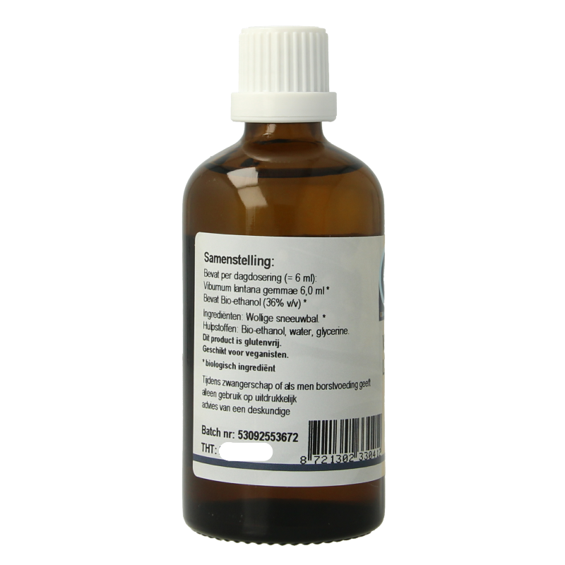 GO Viburnum lantana bio - Afbeelding 2