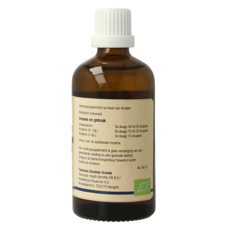 GO Viburnum lantana bio - Afbeelding 3