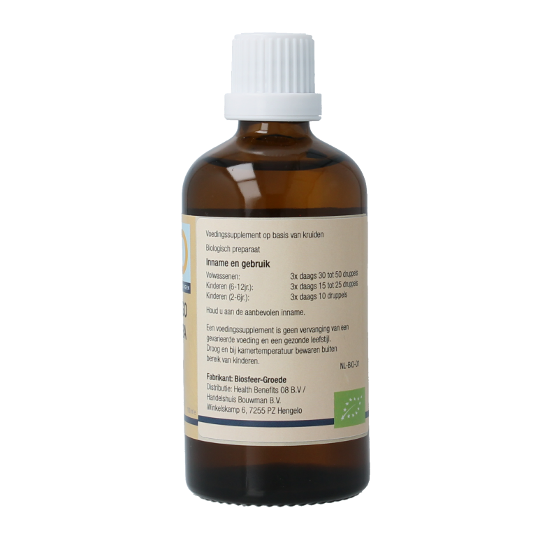 GO Ginkgo biloba bio - Afbeelding 3