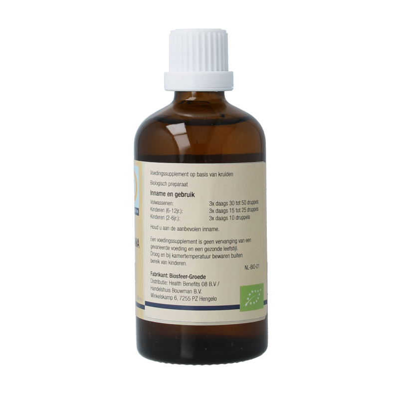 GO Pinus montana bio - Afbeelding 3