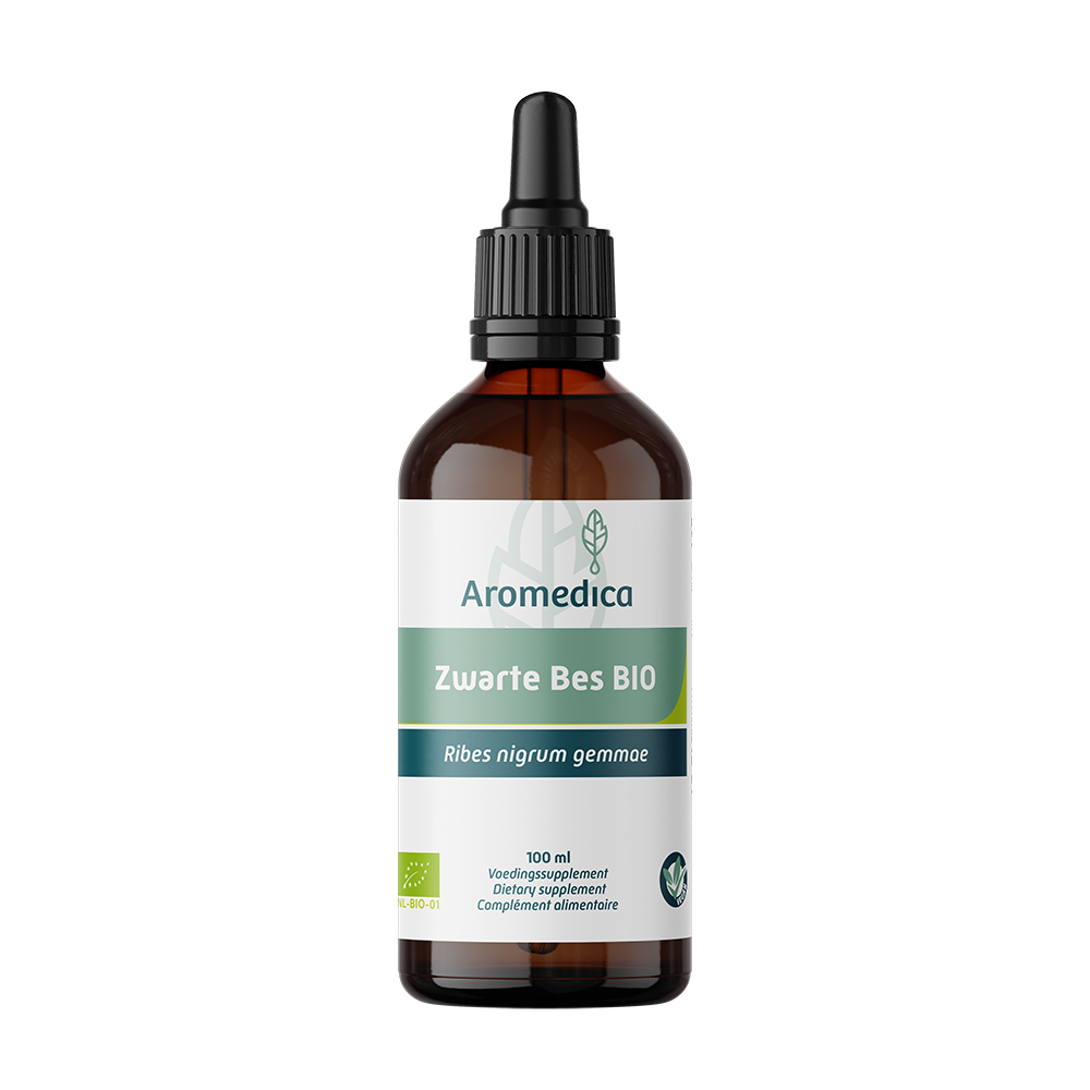 Aromedica Zwarte Bes - Ribes nigrum gemmae bio