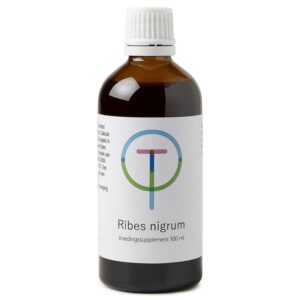 Therapeutenwinkel Ribes nigrum zwarte bes