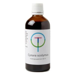 Therapeutenwinkel Cynara scolymus artisjok