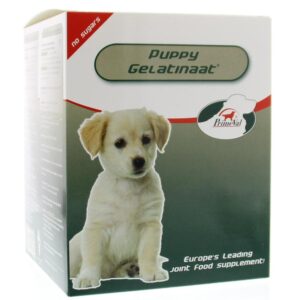 Primeval Gelatinaat puppy