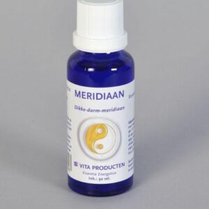 Vita Meridiaan dikke darm meridiaan