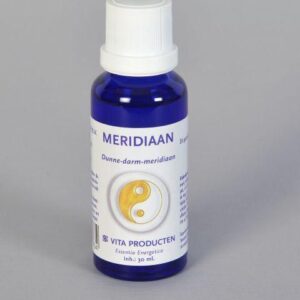 Vita Meridiaan dunne darm meridiaan