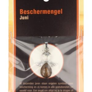 Ruben Robijn Beschermengel juni