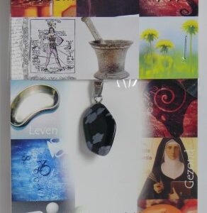 Steengoed Hanger gezondheidssteen sneeuwvlok obsidiaan