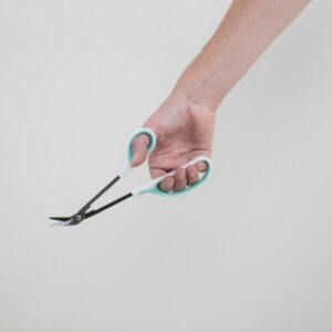 Able 2 Teennagelschaar op lange steel