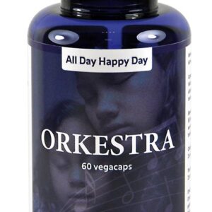 All Day Happy Day Orkestra