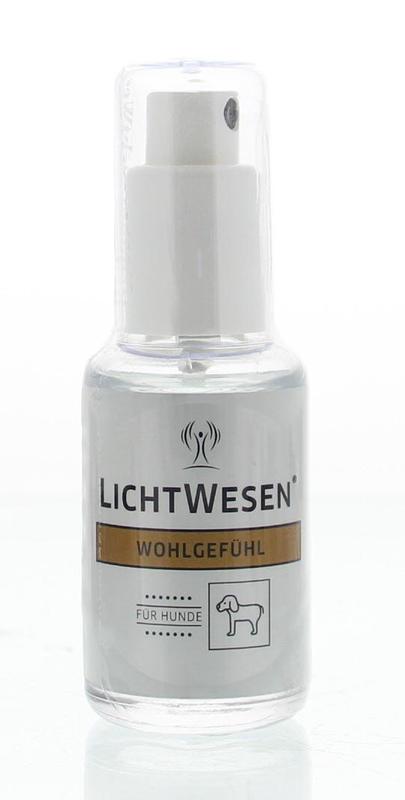 Lichtwesen Welzijn hond