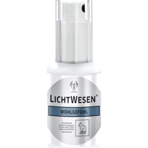 Lichtwesen Welzijn kat