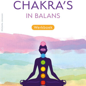 Deltas Breng je chakra's in balans werkboek
