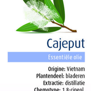 Physalis Cajeput bio